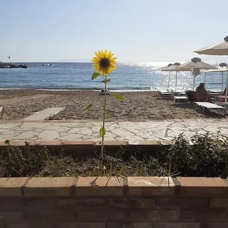 Beachside Retro
